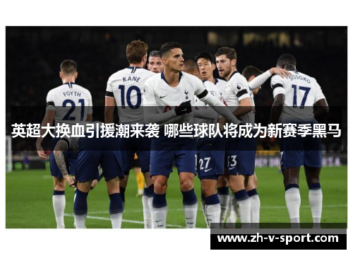 英超大换血引援潮来袭 哪些球队将成为新赛季黑马