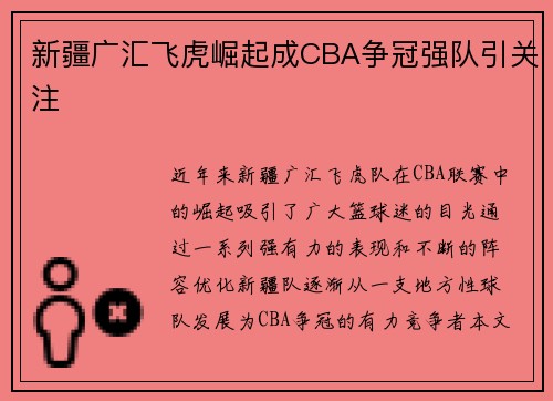 新疆广汇飞虎崛起成CBA争冠强队引关注